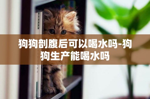 狗狗剖腹后可以喝水嗎-狗狗生產能喝水嗎
