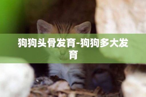 狗狗頭骨發育-狗狗多大發育
