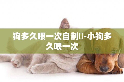 狗多久喂一次自制糧-小狗多久喂一次