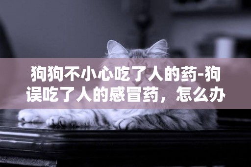 狗狗不小心吃了人的藥-狗誤吃了人的感冒藥，怎么辦