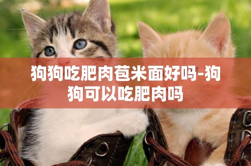 狗狗吃肥肉苞米面好嗎-狗狗可以吃肥肉嗎