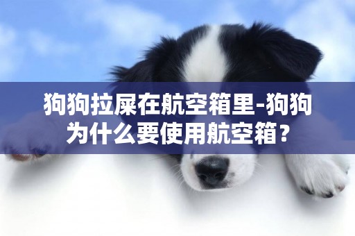 狗狗拉屎在航空箱里-狗狗為什么要使用航空箱？