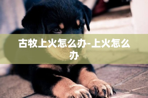 古牧上火怎么辦-上火怎么辦