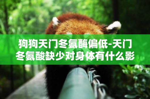 狗狗天門冬氨酶偏低-天門冬氨酸缺少對身體有什么影響