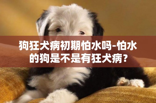 狗狂犬病初期怕水嗎-怕水的狗是不是有狂犬病？