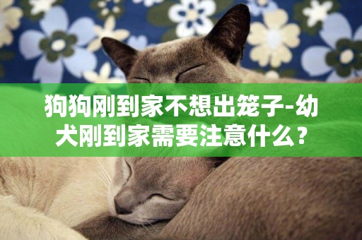 狗狗剛到家不想出籠子-幼犬剛到家需要注意什么？