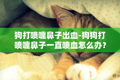 狗打噴嚏鼻子出血-狗狗打噴嚏鼻子一直噴血怎么辦？