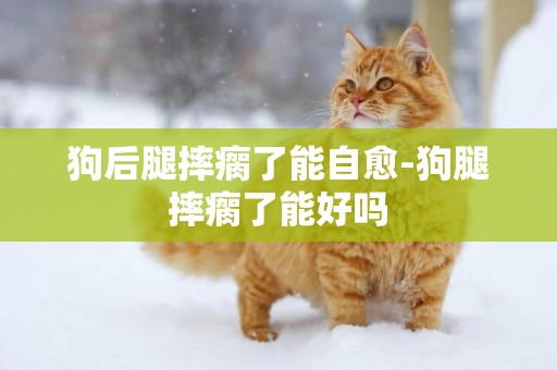 狗后腿摔瘸了能自愈-狗腿摔瘸了能好嗎