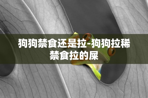 狗狗禁食還是拉-狗狗拉稀禁食拉的屎
