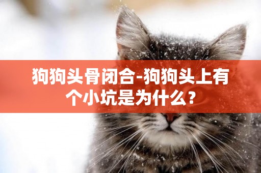 狗狗頭骨閉合-狗狗頭上有個小坑是為什么？