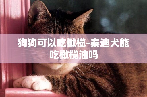 狗狗可以吃橄欖-泰迪犬能吃橄欖油嗎