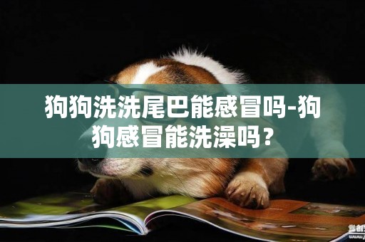 狗狗洗洗尾巴能感冒嗎-狗狗感冒能洗澡嗎？