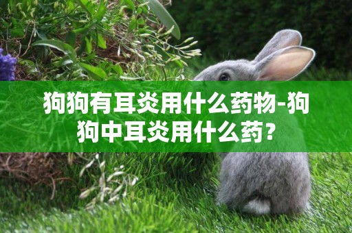 狗狗有耳炎用什么藥物-狗狗中耳炎用什么藥？