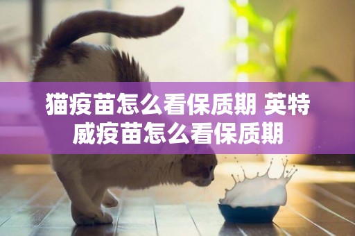 貓疫苗怎么看保質期 英特威疫苗怎么看保質期