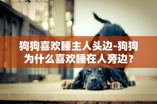 狗狗喜歡睡主人頭邊-狗狗為什么喜歡睡在人旁邊？