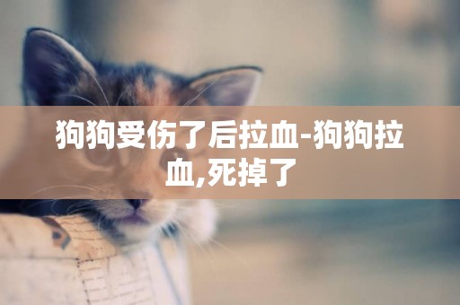 狗狗受傷了后拉血-狗狗拉血,死掉了