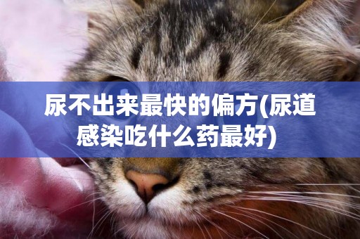 尿不出來最快的偏方(尿道感染吃什么藥最好) 