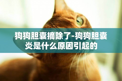 狗狗膽囊摘除了-狗狗膽囊炎是什么原因引起的