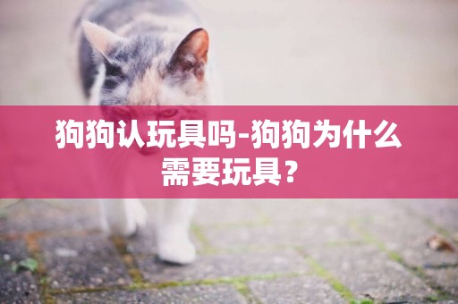 狗狗認玩具嗎-狗狗為什么需要玩具？