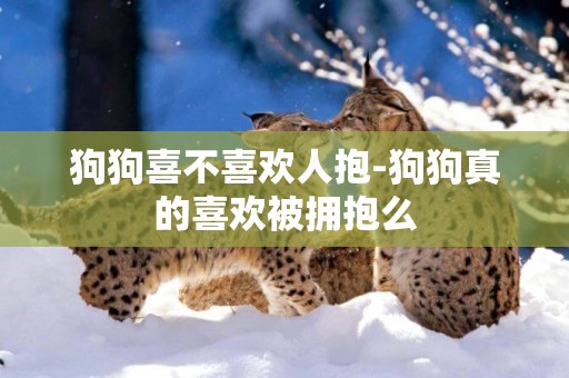 狗狗喜不喜歡人抱-狗狗真的喜歡被擁抱么