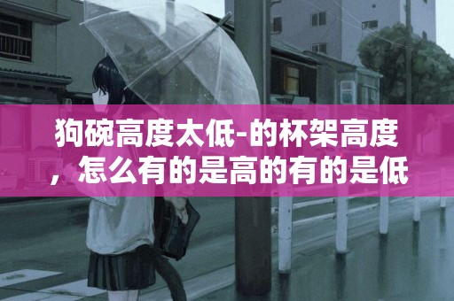 狗碗高度太低-的杯架高度，怎么有的是高的有的是低的