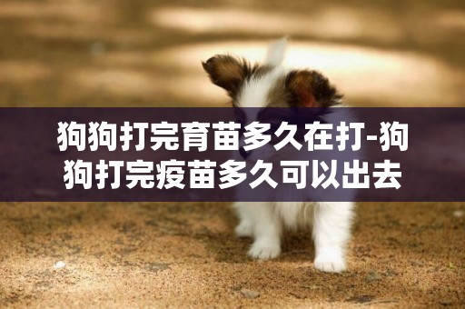 狗狗打完育苗多久在打-狗狗打完疫苗多久可以出去