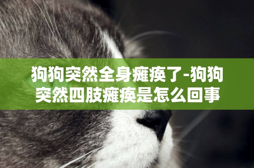 狗狗突然全身癱瘓了-狗狗突然四肢癱瘓是怎么回事
