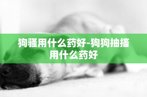 狗騷用什么藥好-狗狗抽搐用什么藥好