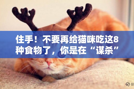 住手！不要再給貓咪吃這8種食物了，你是在“謀殺”它 