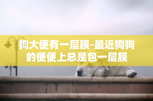 狗大便有一層膜-最近狗狗的便便上總是包一層膜