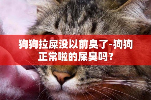 狗狗拉屎沒以前臭了-狗狗正常啦的屎臭嗎？