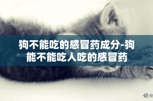 狗不能吃的感冒藥成分-狗能不能吃人吃的感冒藥