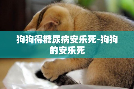 狗狗得糖尿病安樂死-狗狗的安樂死