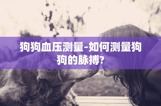 狗狗血壓測量-如何測量狗狗的脈搏?