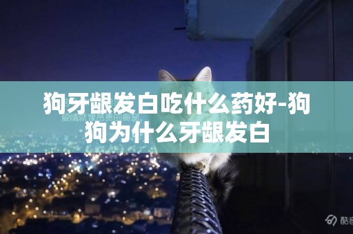 狗牙齦發白吃什么藥好-狗狗為什么牙齦發白