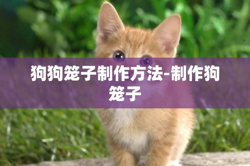 狗狗籠子制作方法-制作狗籠子
