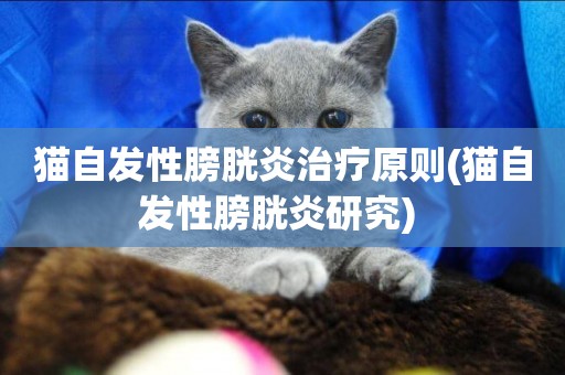 貓自發性膀胱炎治療原則(貓自發性膀胱炎研究) 