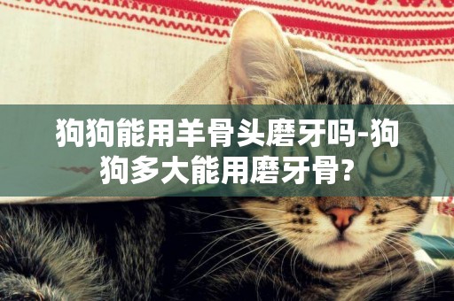 狗狗能用羊骨頭磨牙嗎-狗狗多大能用磨牙骨?