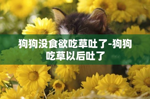 狗狗沒食欲吃草吐了-狗狗吃草以后吐了