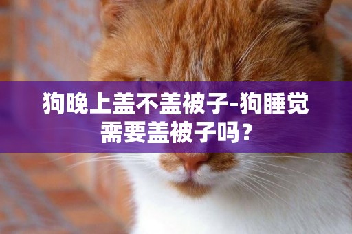 狗晚上蓋不蓋被子-狗睡覺需要蓋被子嗎？