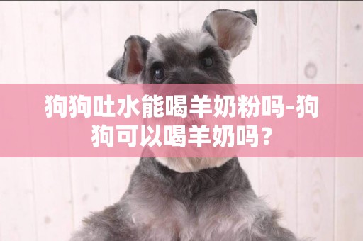 狗狗吐水能喝羊奶粉嗎-狗狗可以喝羊奶嗎？