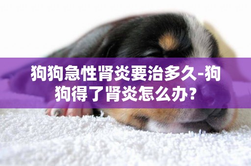 狗狗急性腎炎要治多久-狗狗得了腎炎怎么辦？