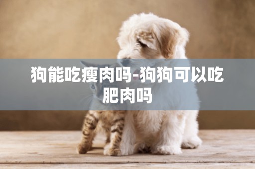 狗能吃瘦肉嗎-狗狗可以吃肥肉嗎