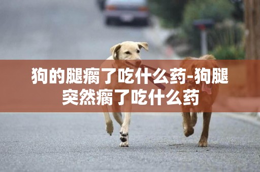 狗的腿瘸了吃什么藥-狗腿突然瘸了吃什么藥