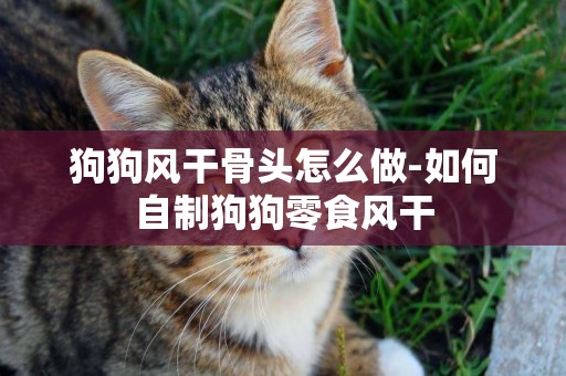 狗狗風干骨頭怎么做-如何自制狗狗零食風干