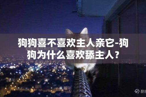 狗狗喜不喜歡主人親它-狗狗為什么喜歡舔主人？