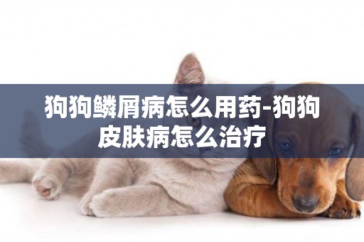 狗狗鱗屑病怎么用藥-狗狗皮膚病怎么治療