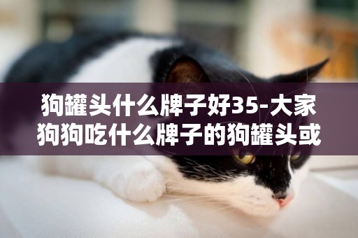 狗罐頭什么牌子好35-大家狗狗吃什么牌子的狗罐頭或者濕糧