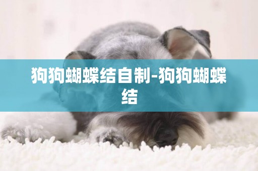 狗狗蝴蝶結自制-狗狗蝴蝶結