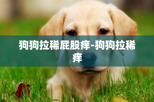 狗狗拉稀屁股癢-狗狗拉稀癢